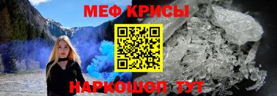амф Кингисепп