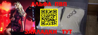 амф Кингисепп