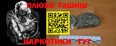амф Кингисепп